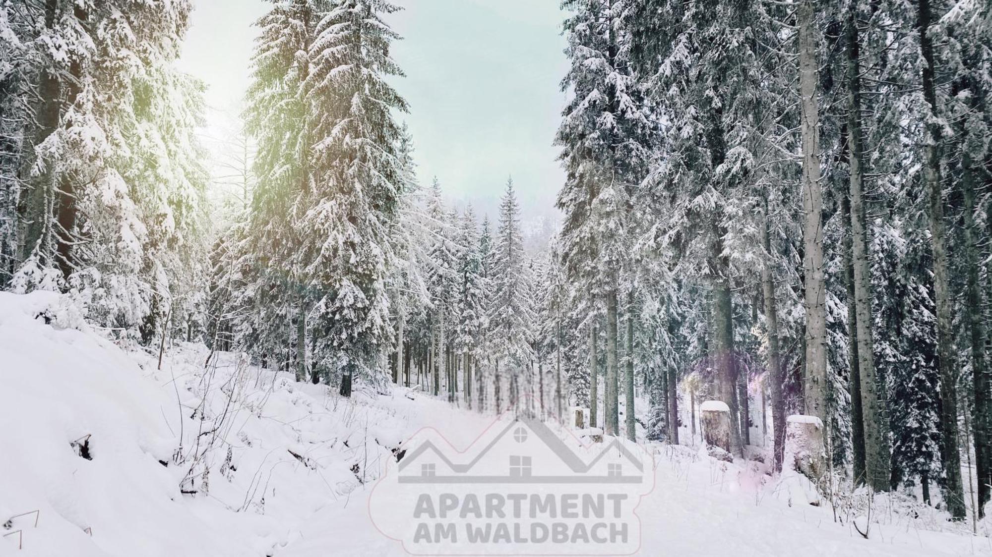 Apartment Am Waldbach Gernsbach Dış mekan fotoğraf