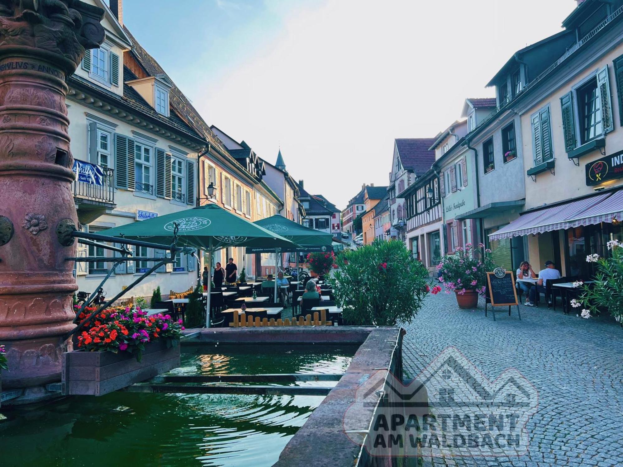 Apartment Am Waldbach Gernsbach Dış mekan fotoğraf